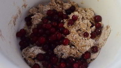 пряники с клюквой