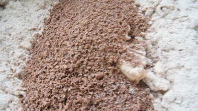 шоколадные пряники вкусные подарки