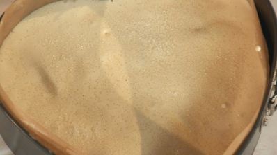 шарлотка неправильная