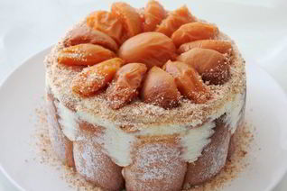 Шарлотка с английским ванильным кремом