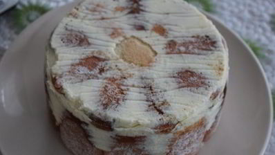 шарлотка с английским ванильным кремом