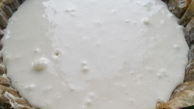 шарлотка с персиками