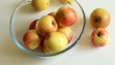 яблочная шарлотка с абрикосовым конфитюром