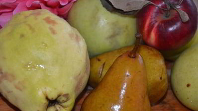 фруктовый штрудель