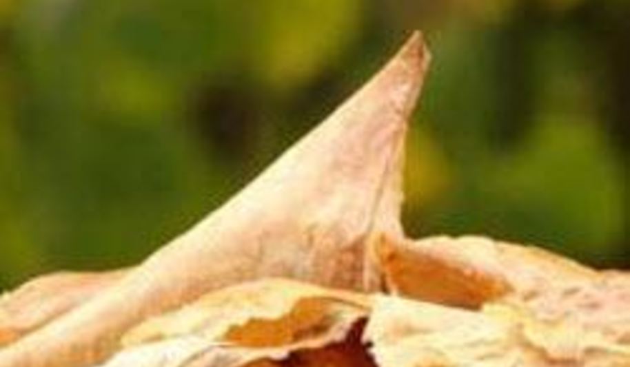 Рецепт слоеных конвертиков из фило с тыквой и фетой