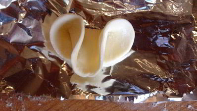 слойки волк