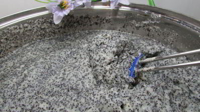 немецкий маковый творожник