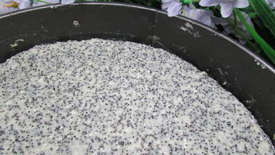 немецкий маковый творожник