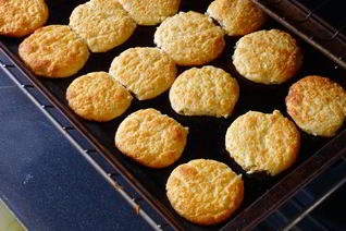 Сырники к завтраку в духовке