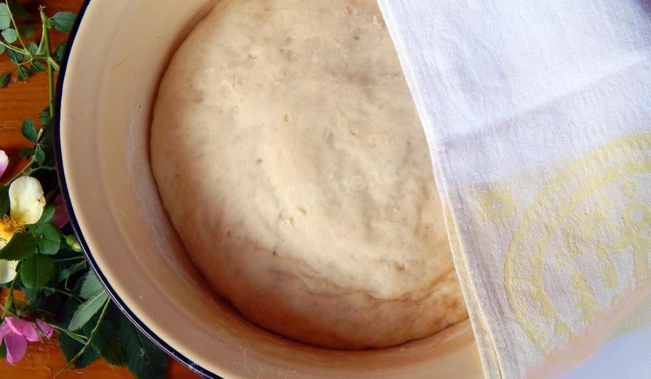 Рецепт дрожжевого теста на лепешки