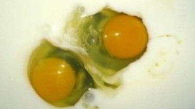 тесто для пирожков на простокваше