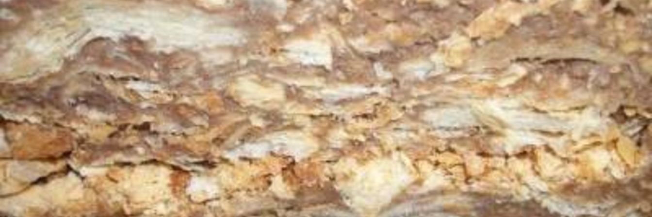 Быстрый Наполеон