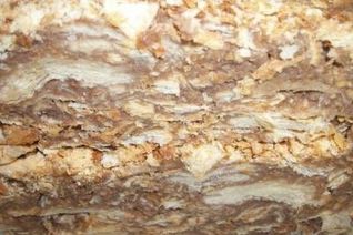 Быстрый Наполеон