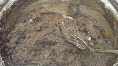 шоколадный медовик