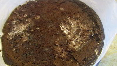 торт ажурные ромашки