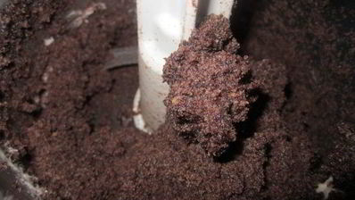 торт ажурные ромашки