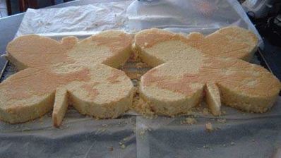 торт бабочка