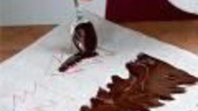 торт дом в шоколаде