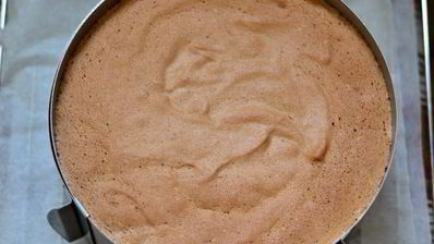 торт шоколадно-сливочный цветочная феерия