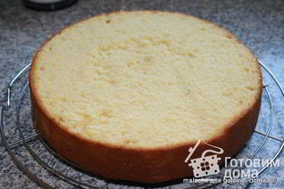 Желтково-маслянный бисквит