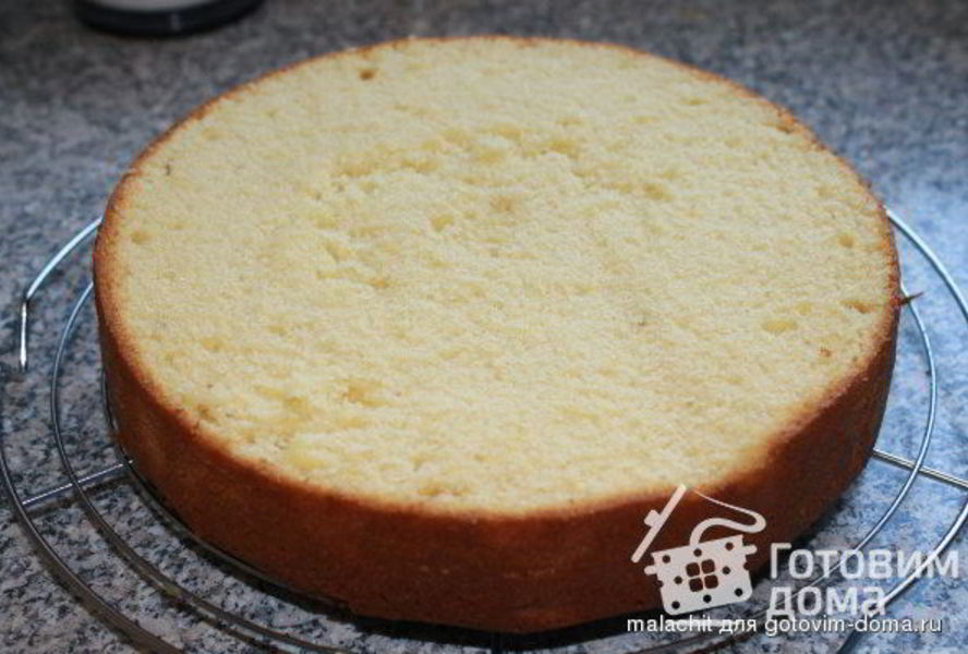 Желтково-маслянный бисквит