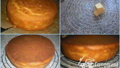 желтково-маслянный бисквит