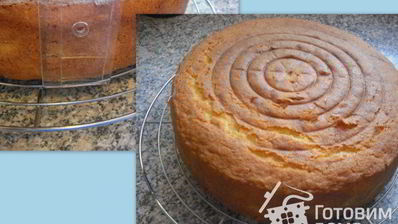 желтково-маслянный бисквит