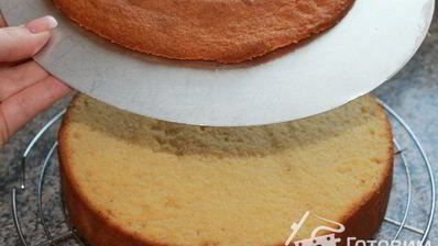 желтково-маслянный бисквит