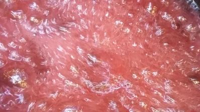 эклеры малиновая роза