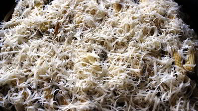 соте-запеканка из овощей с грибами