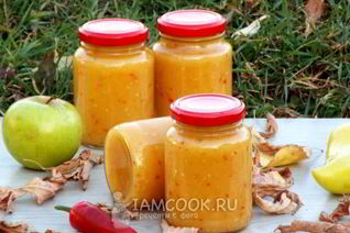 Аджика из кабачков с яблоками на зиму