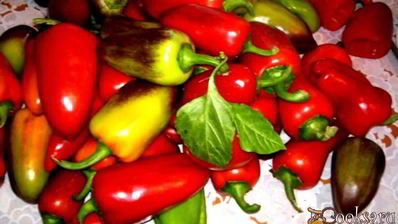 аджика остринка