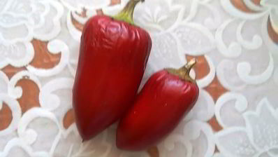 фруктово-овощная аджика на зиму