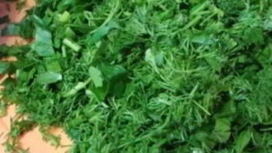 баклажаны консервированные на зиму