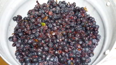 черничный джем