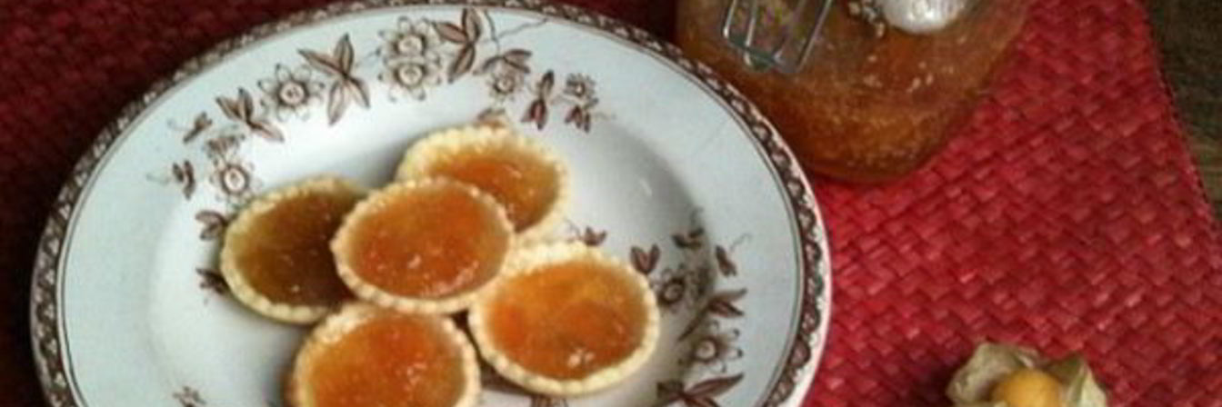 Джем из физалиса