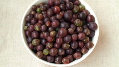 джем из красного крыжовника