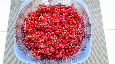 джем из красной смородины