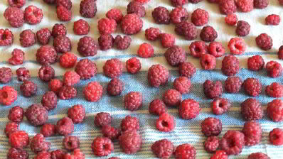 малиновый джем без варки