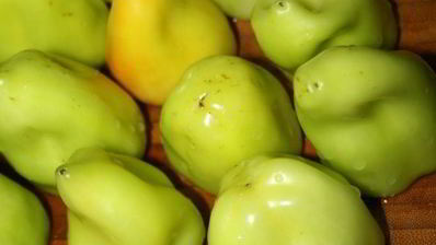 фаршированные болгарские перцы на зиму