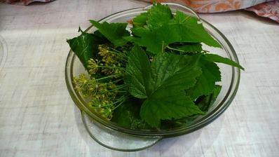 кисло-сладкие огурцы в банках без уксуса