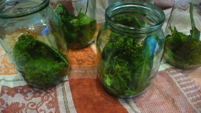 кисло-сладкие огурцы в банках без уксуса