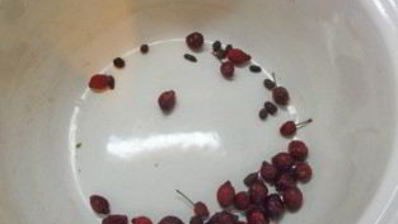 имбирный компот