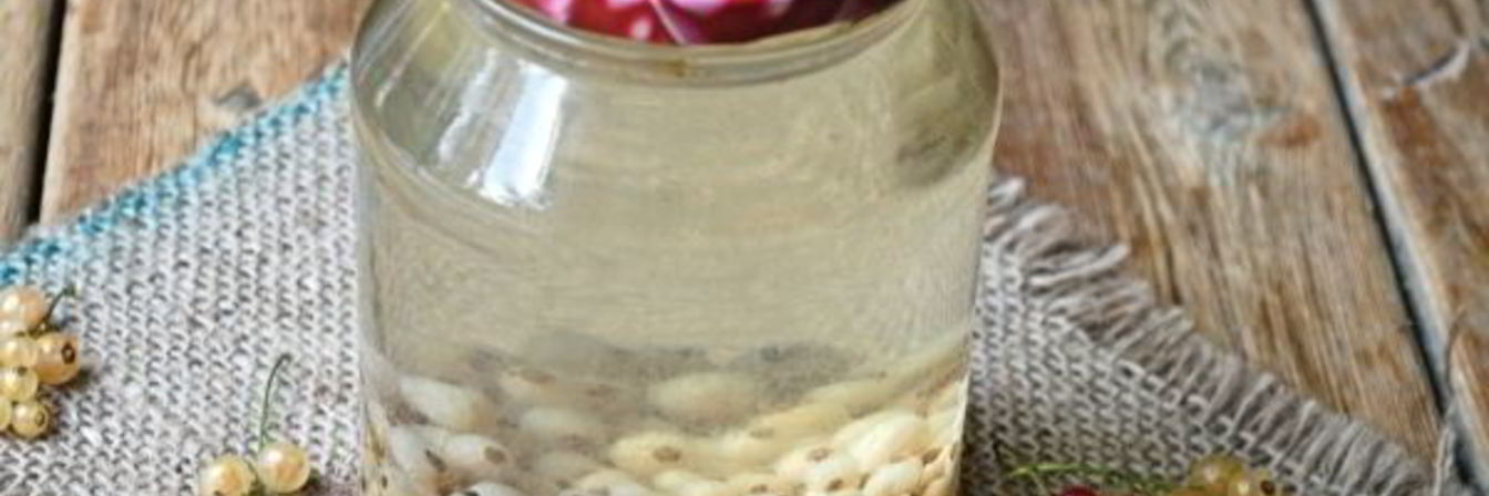 Компот из белой смородины на зиму