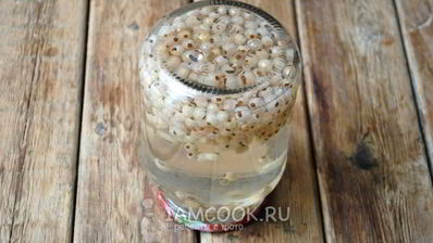 компот из белой смородины на зиму