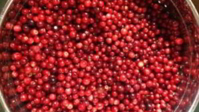 компот из брусники на зиму