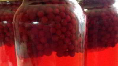 компот из брусники на зиму