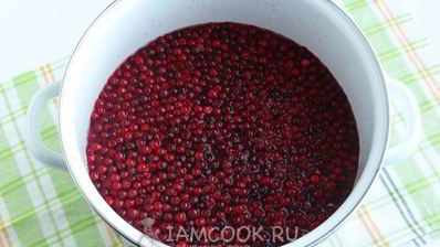 компот из брусники с яблоками на зиму