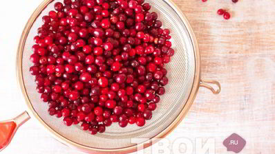 компот из брусники