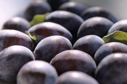 Компот из чернослива на зиму